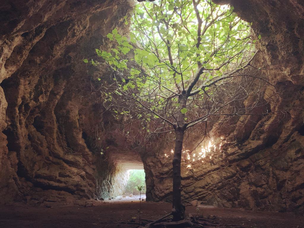 secret cave monopoli