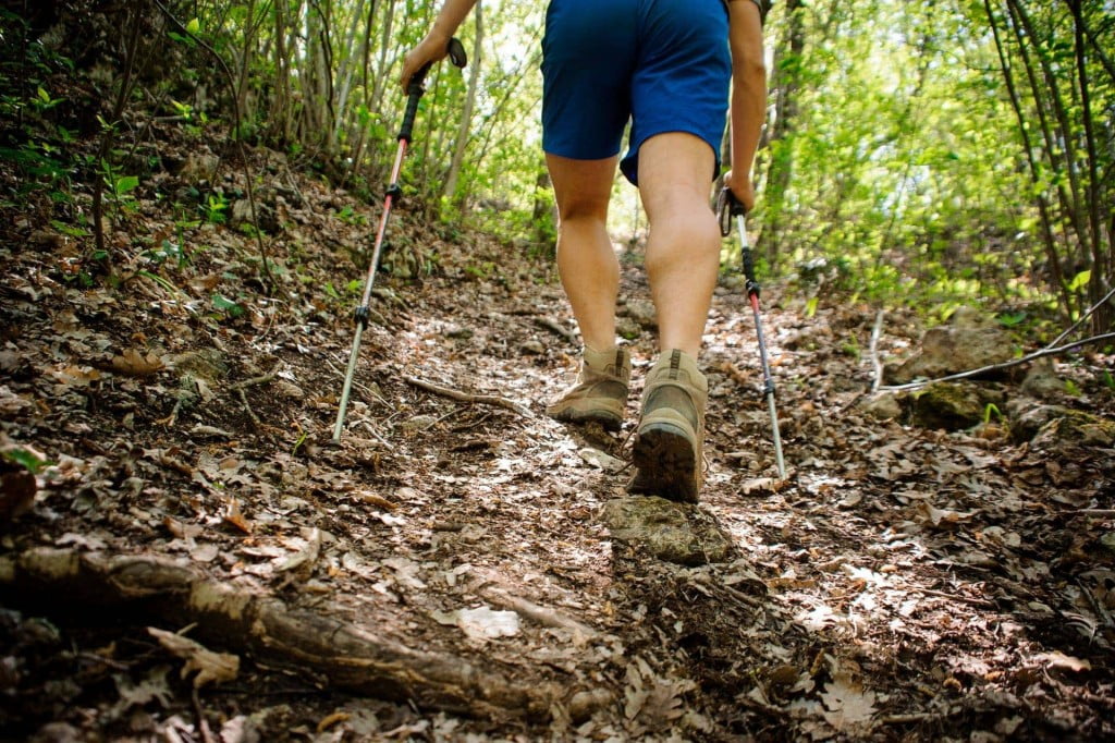 hiking in puglia bosco delle pianelle