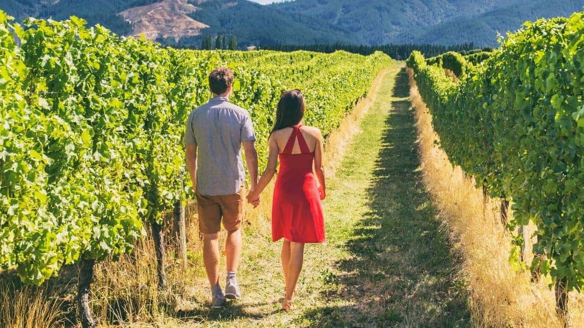 tips to take a wine tour in puglia