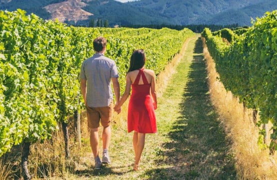 tips to take a wine tour in puglia