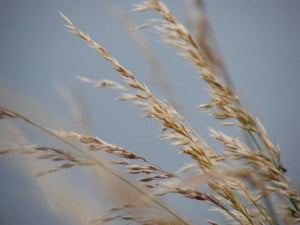 how to choose beach in puglia