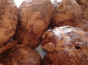 christmas sweets of Puglia