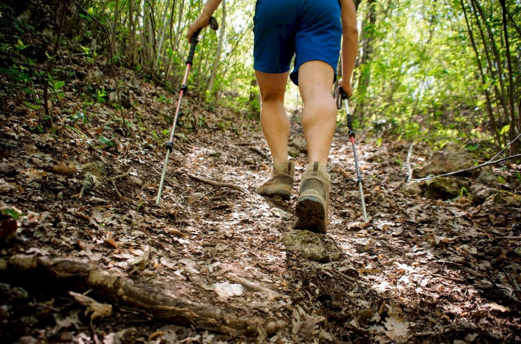 bosco pianelle trekking puglia_risultato bosco pianelle trekking puglia_risultato